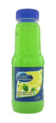 Lemon Mint Drink
